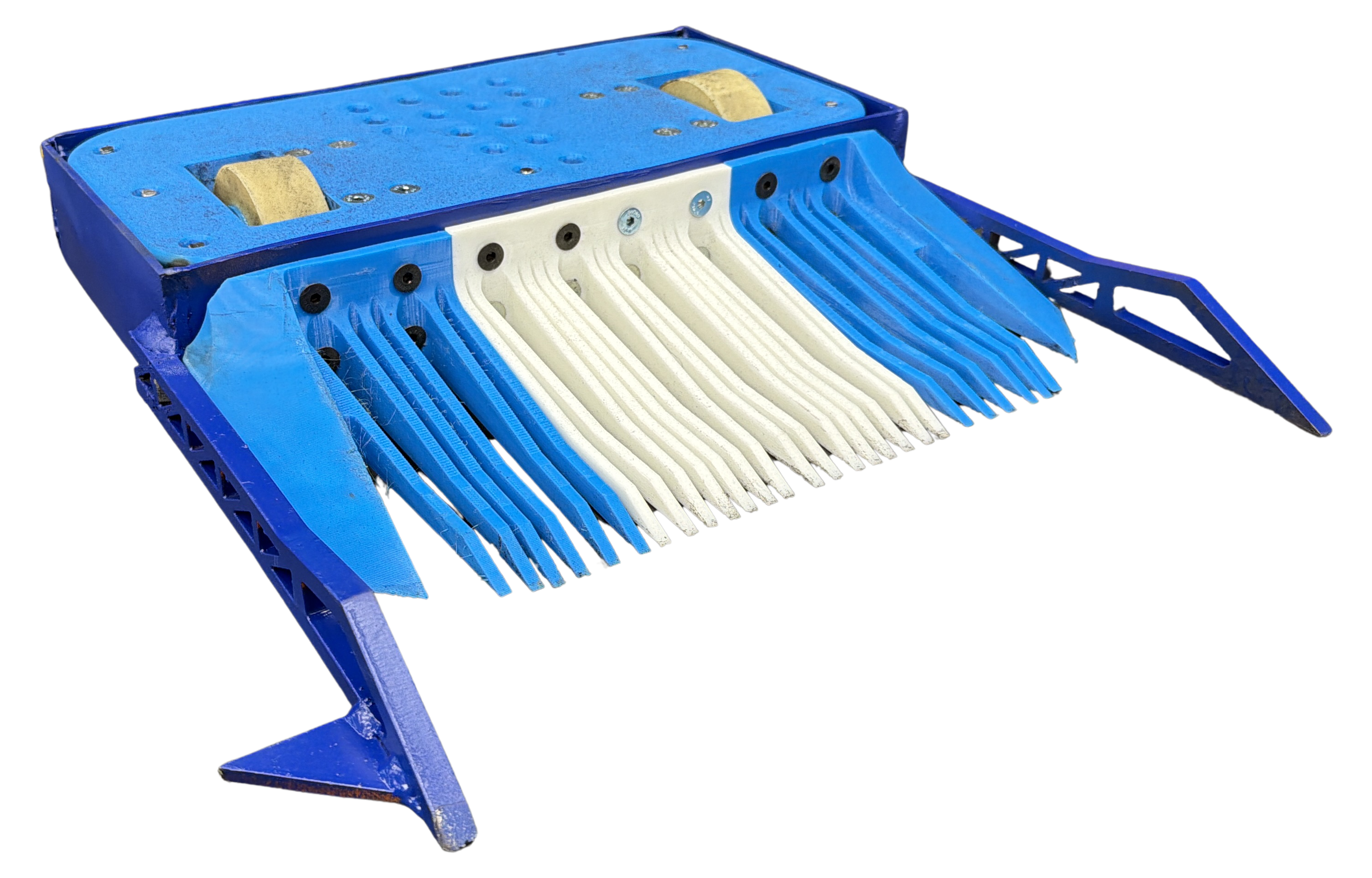 The Blue Whale